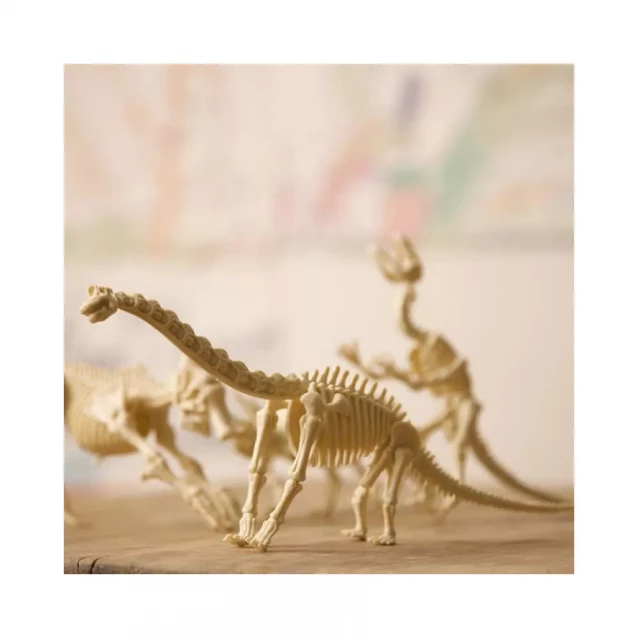 Набір для розкопок Скелет брахіозавра 4M KidzLabs (00-03237) - 6