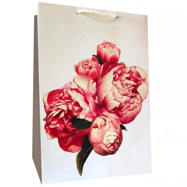 Пакет бумажный Kinza Цветы 180х255х100 мм (AC001) - 1