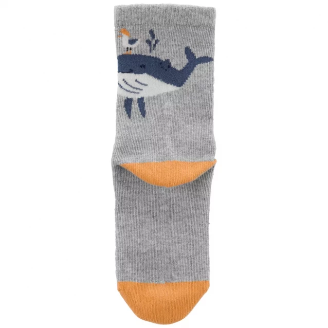 Шкарпетки Carter's для хлопчика 101-131 см 3 шт (3N108410_4-7) - 2