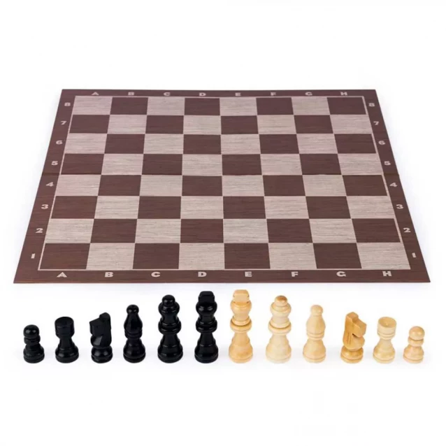 Настольная игра Spin Master Шахматы (SM98367/6065339) - 4
