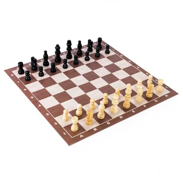 Настольная игра Spin Master Шахматы (SM98367/6065339) - 7
