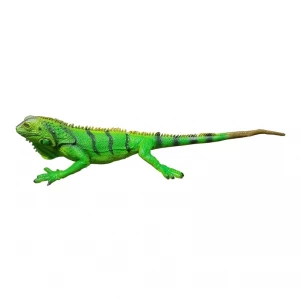 LANKA Novelties Ігуана зелена, 51  cm (см) дитяча іграшка