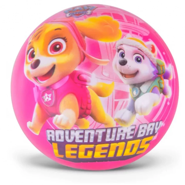 Мяч Nickelodeon Paw Patrol 23 см в ассортименте (PB2102) - 3