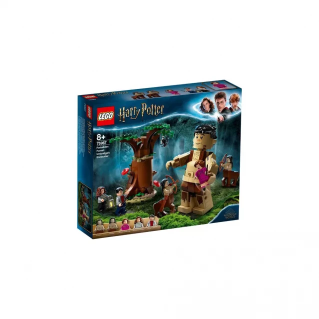 Конструктор LEGO Harry Potter Запретный лес: встреча Амбридж (75967) - 1