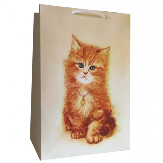 Пакет бумажный Kinza Рыжий котенок 233х330х106 мм (AD010) - 1