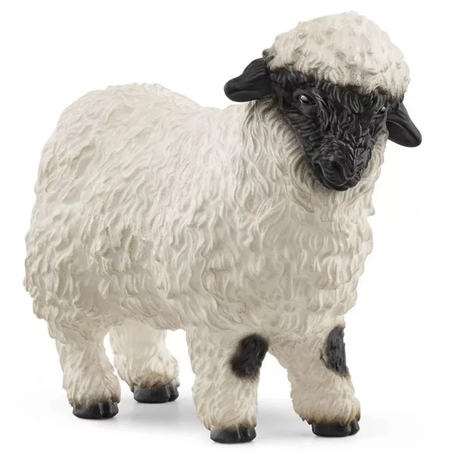 Фигурка Schleich Валеская черноносая овца (13965) - 1
