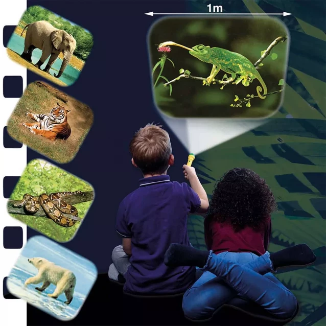 Ліхтарик-проектор Brainstorm Toys У світі тварин (E2012) - 4