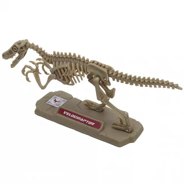 Конструктор Chap Mei Dino Valley Міні Скелет динозавра (542040) - 4