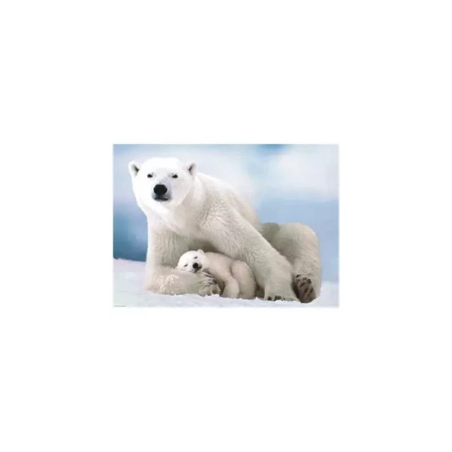 Пазл Eurographics Белая медведица с медвежонком, 1000 элементов - 2