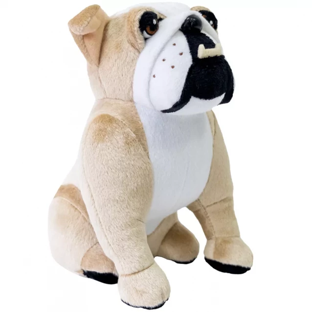 WP Merchandise! Іграшка плюшева WP MERCHANDISE собака бульдог Коржик FWPADMDOG22BG0000 - 2