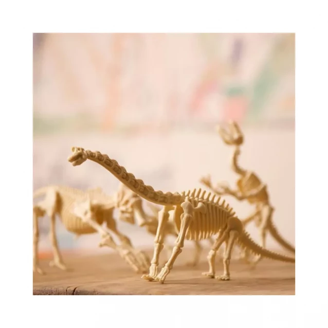 Набір для розкопок Скелет трицератопса 4M KidzLabs (00-03228) - 8