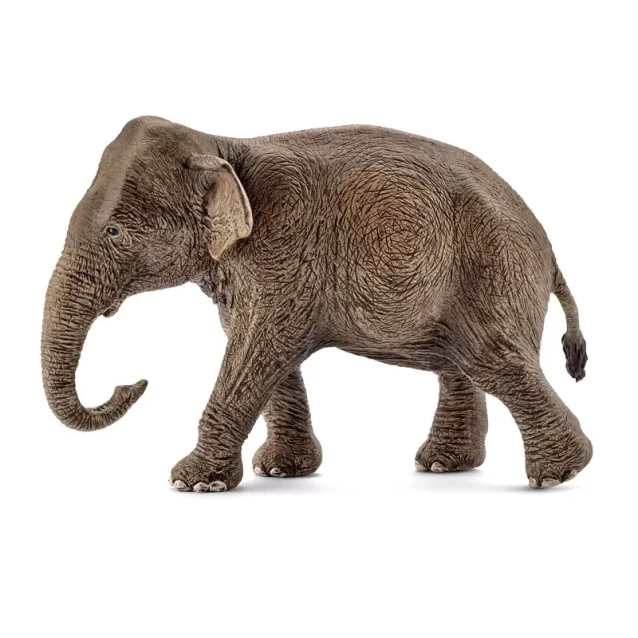Фигурка Schleich Азиатская слониха (14753) - 1