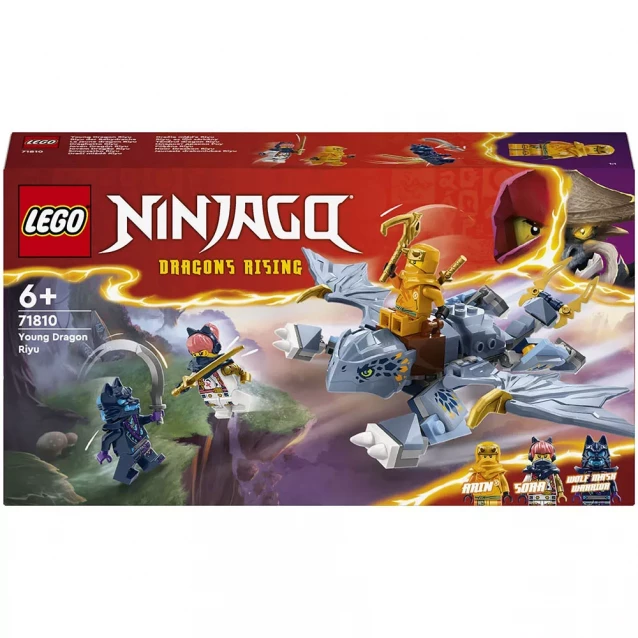 Конструктор LEGO Ninjago Молодой дракон Рию (71810) - 1