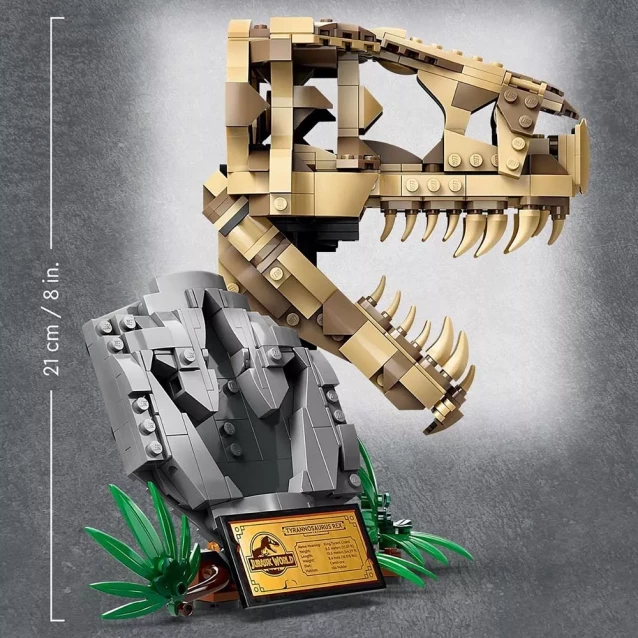 Конструктор LEGO Jurassic World Скамʼянілості динозаврів череп тиранозавра (76964) - 6