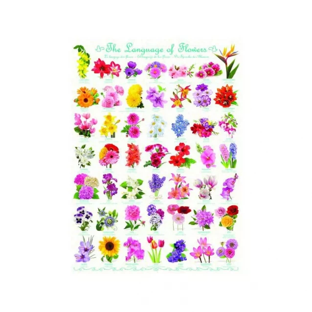 Пазл Eurographics Мова квітів, 1000 елементів - 2