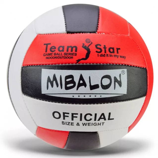 М'яч волейбольний Країна іграшок №5 Серія 1 в асортименті (VB2311) - 2