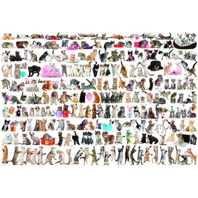 Пазл Світ котів, 2000 елементів - 2