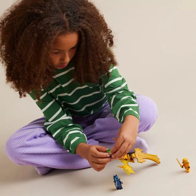 Конструктор LEGO Ninjago Атака восставшего дракона Арина (71803) - 5