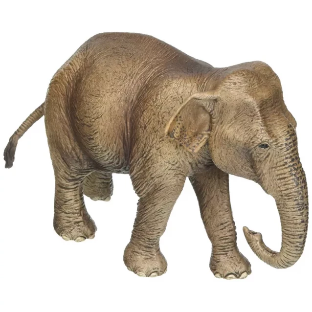 Фігурка Schleich Азійська слониха (14753) - 2