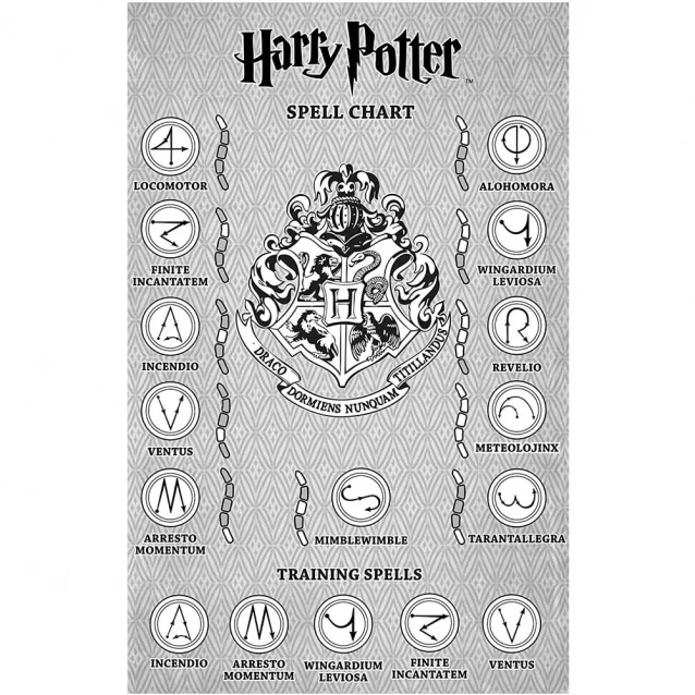 Волшебная палочка WIZARDING WORLD Гарри Поттера (73195) - 12