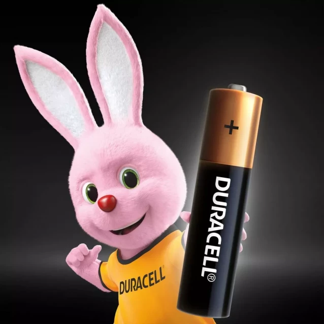 Батарейки щелочные Duracell AAA 2 шт (5007819/5010171/5014440) - 3