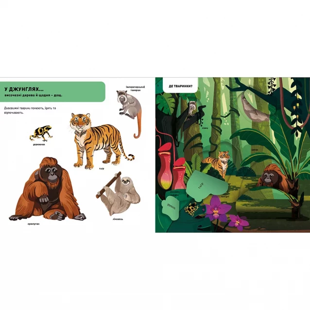 Книжка Артбукс DOC Секрети Тварини джунглів (9786177940776) - 3