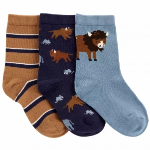 Шкарпетки Carter's для хлопчика 101-131 см 3 шт (3M136910_4-7) - для дітей