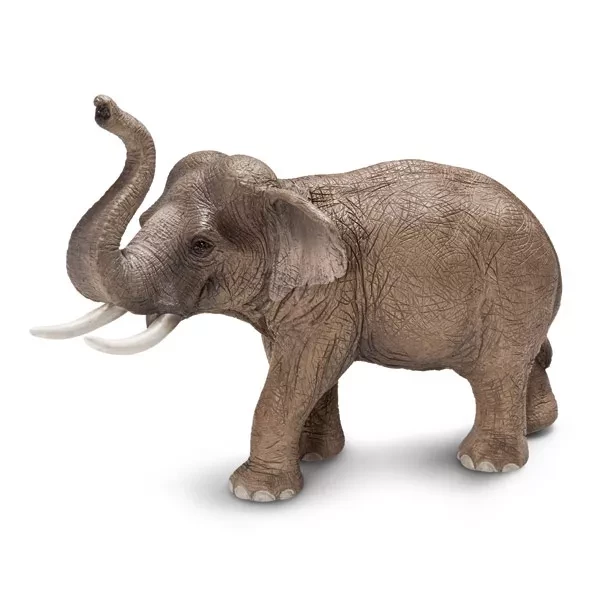 SCHLEICH Іграшка-фігурка 'Азіатський слон' - 1