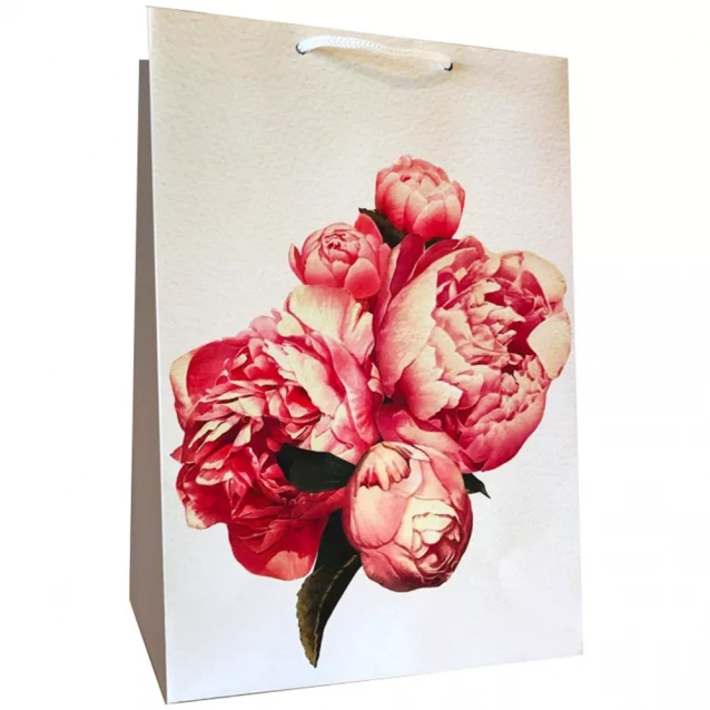 Пакет бумажный Kinza Цветы 233х330х106 мм (AD001) - 1