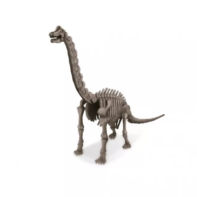 Набір для розкопок Скелет брахіозавра 4M KidzLabs (00-03237) - 3