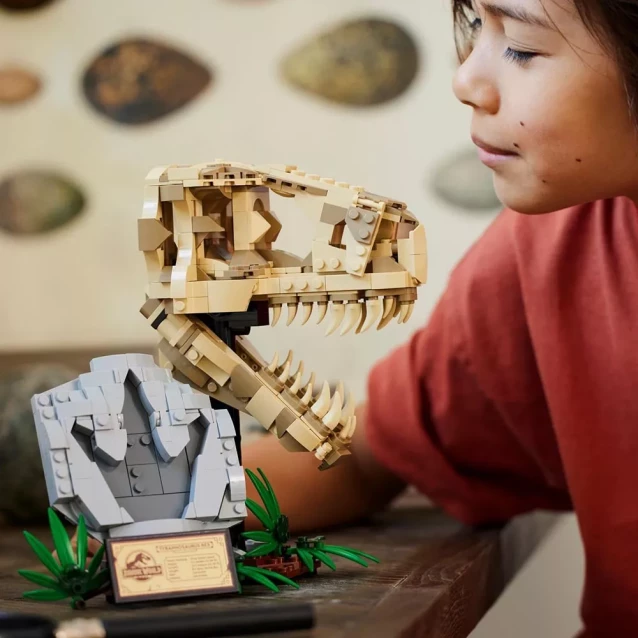 Конструктор LEGO Jurassic World Окаменелости динозавров череп тиранозавра (76964) - 7