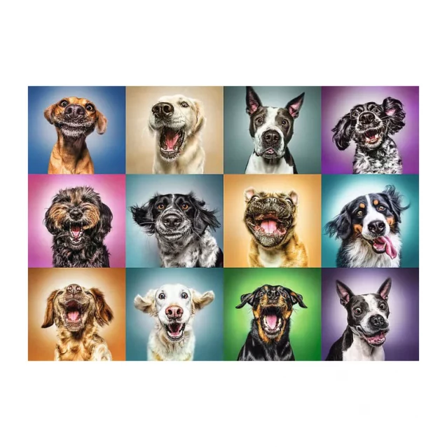 TREFL Пазл "1000" - Забавные собачьи портреты - 1