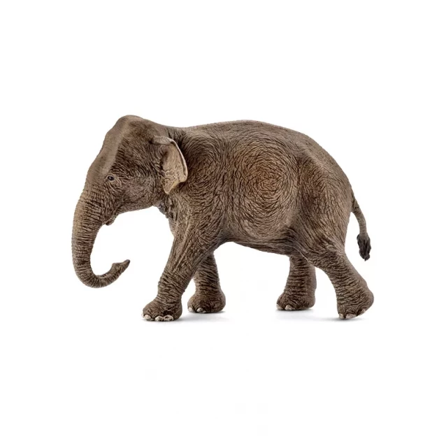 Фигурка Schleich Азиатская слониха (14753) - 3