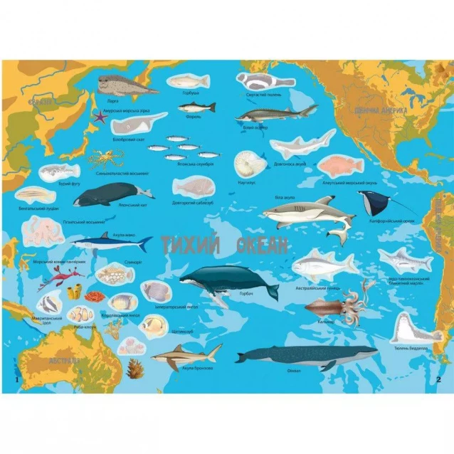CRISTAL BOOK Атлас океанів з багаторазовими наліпками 9789669870513 - 2